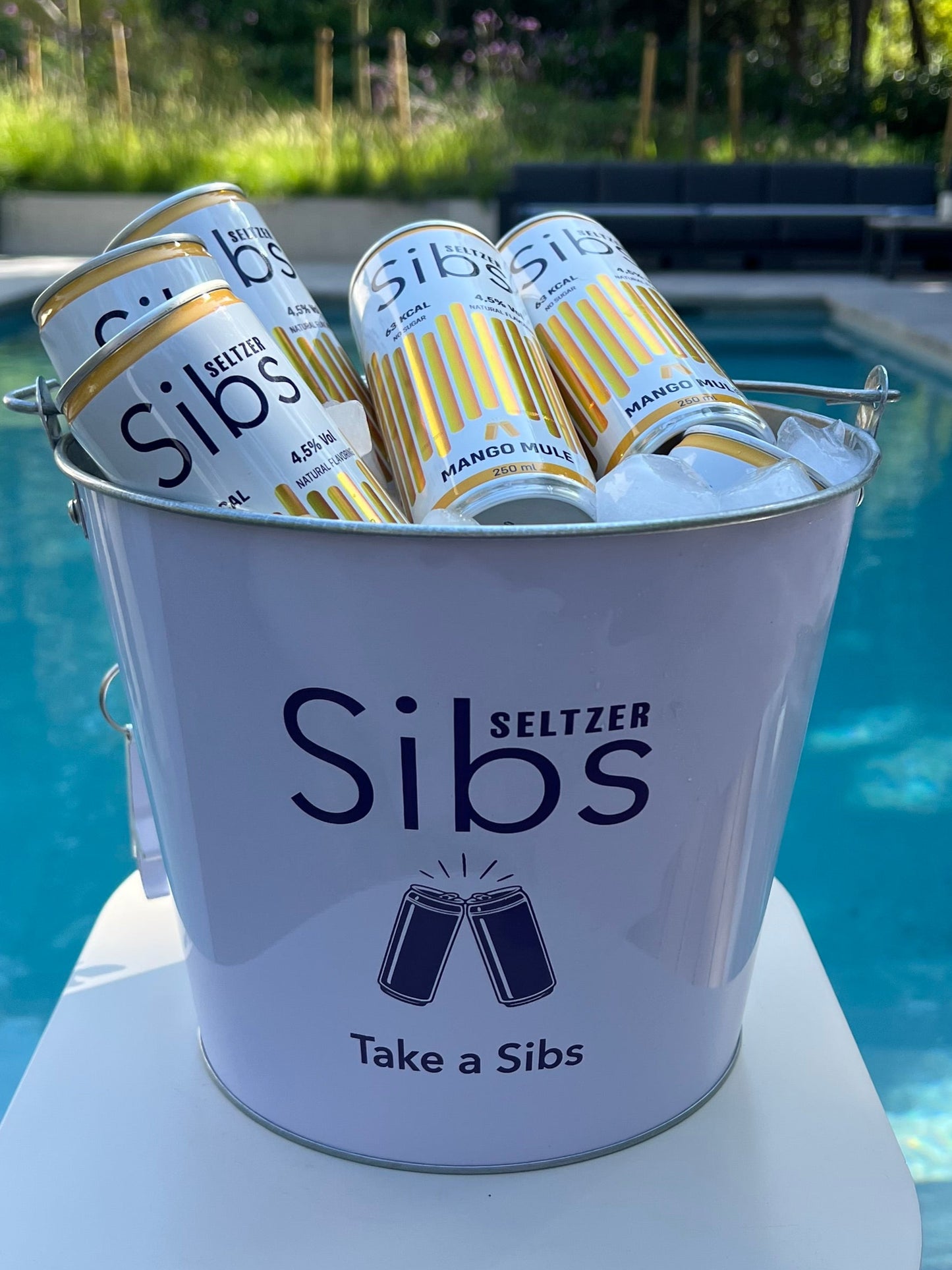 Ice Bucket